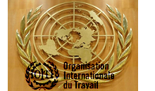 Pic élevé du chômage en Afrique du Nord et au Moyen-Orient